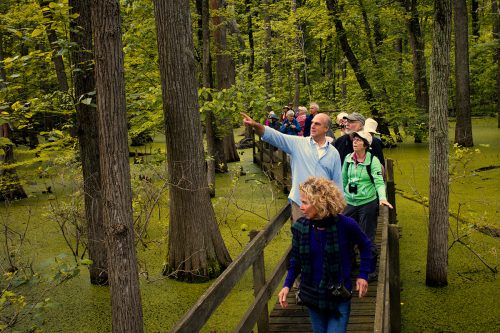 Visitors check out the Cypress trees from the walkway at Twin Swamps in Posey County, Indiana.