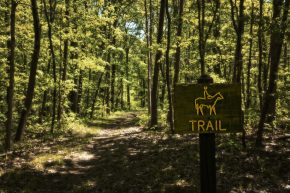 Harmonie State Park Horse Trails